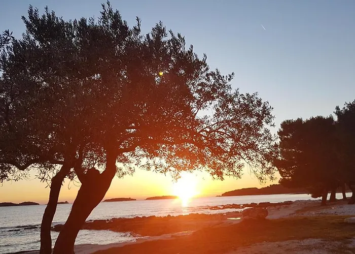 Alea * Rovinj