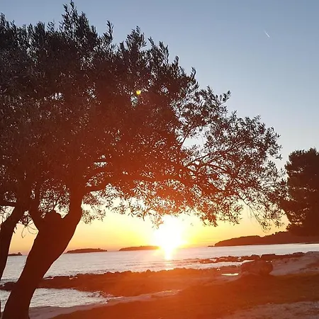 Alea * Rovinj